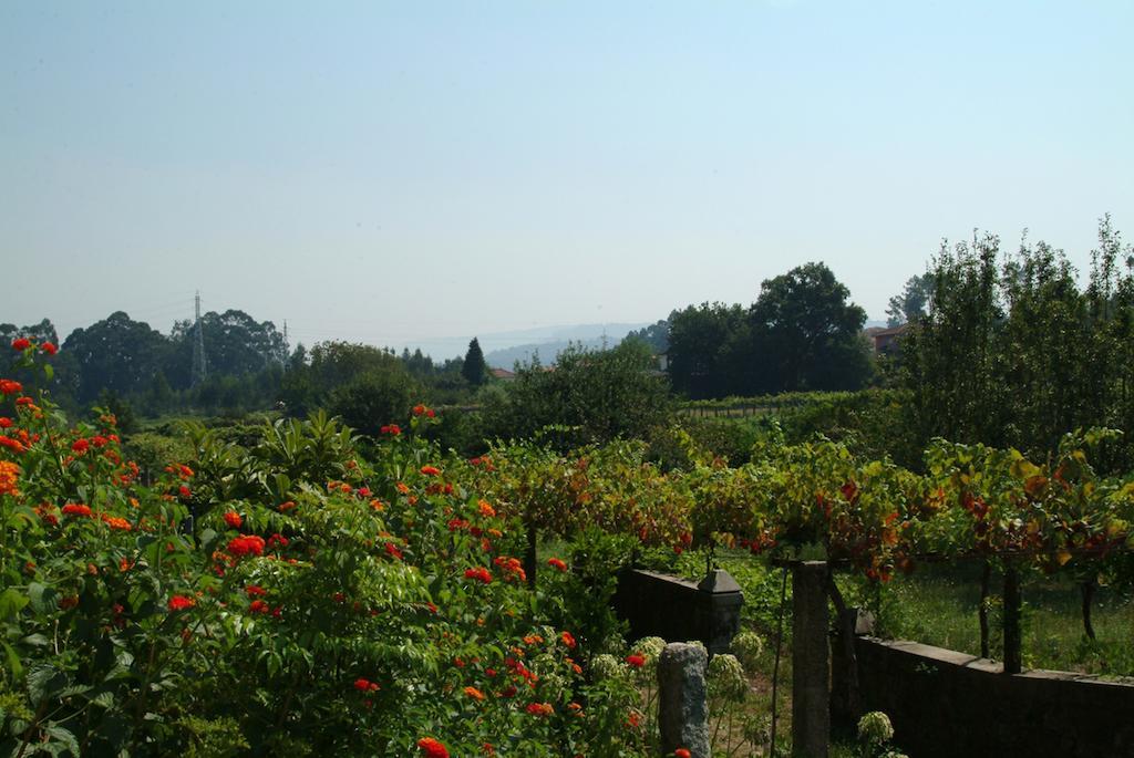 Pensjonat Quinta Do Vale Do Monte Viana do Castelo Zewnętrze zdjęcie