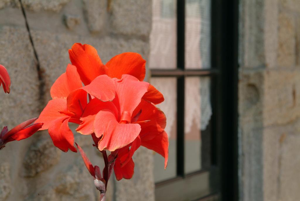Pensjonat Quinta Do Vale Do Monte Viana do Castelo Zewnętrze zdjęcie